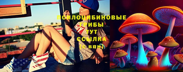 прущие крисы Армянск