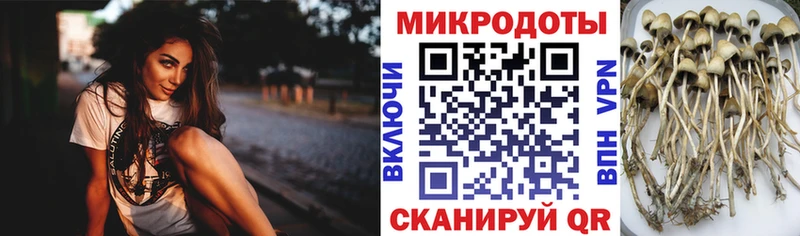Галлюциногенные грибы мухоморы  Правдинск 